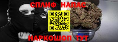 spice Камышлов