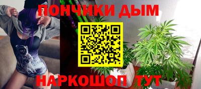 spice Камышлов
