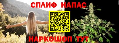 spice Камышлов